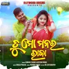 About Tu Mo Manara Raja Song